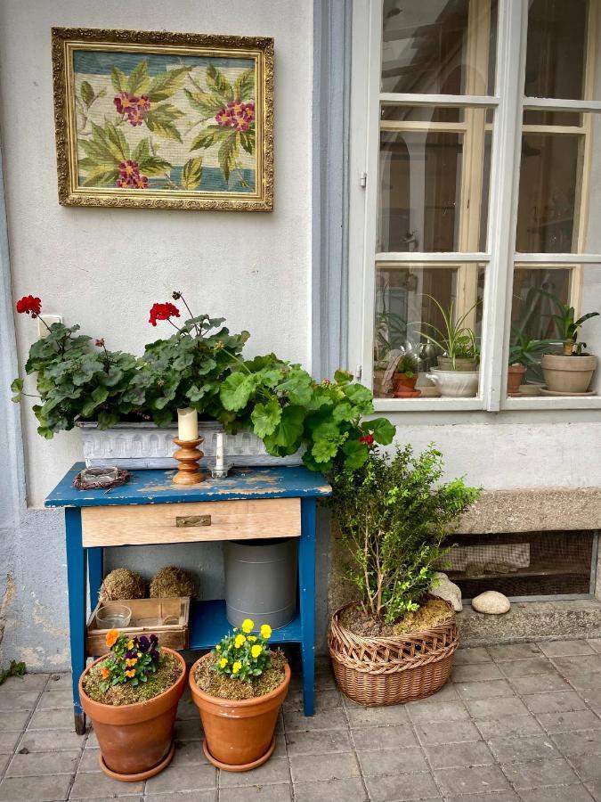 Podkrovi V Kabinetu Cb Apartmán Ceske Budejovice